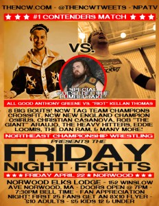 FRIDAY NIGHT FIGHTS FLYER